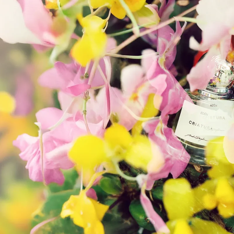 perfume-criatura-02